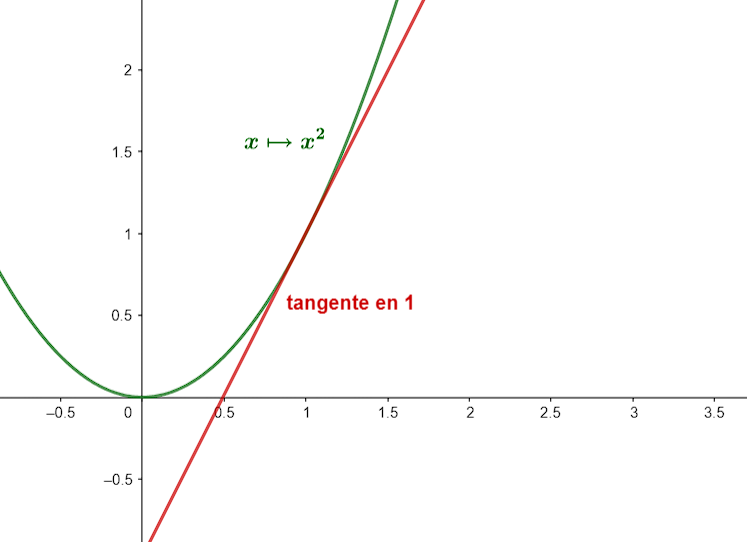 Graphique de la fonction carrée dérivable